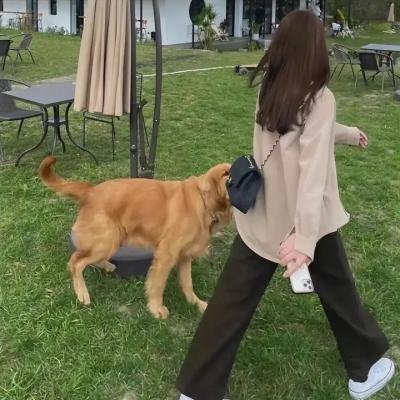 合理怀疑第二季